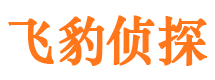 临潭市私家侦探